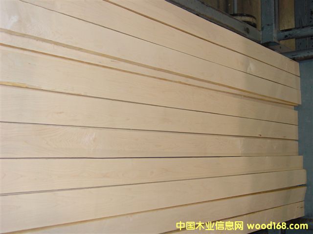 �c���鿴Ӳ��ľ�Ŵ�DƬ