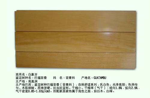 ��������Ԕ����B