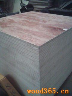 �������P�øߏ�(qi��ng)����о�z�ϰ�.���Ͱ��Ԕ��(x��)��B