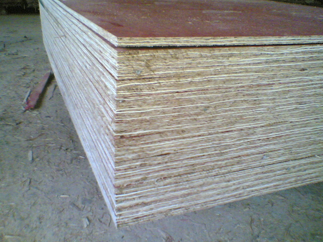 �ߏ�(qi��ng)�Ƚ���ģ���Ԕ��(x��)��B