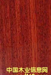 ��܇����ľ��Ԕ��(x��)��B