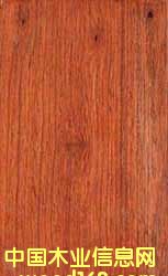 �����̴��Ԕ��(x��)��B