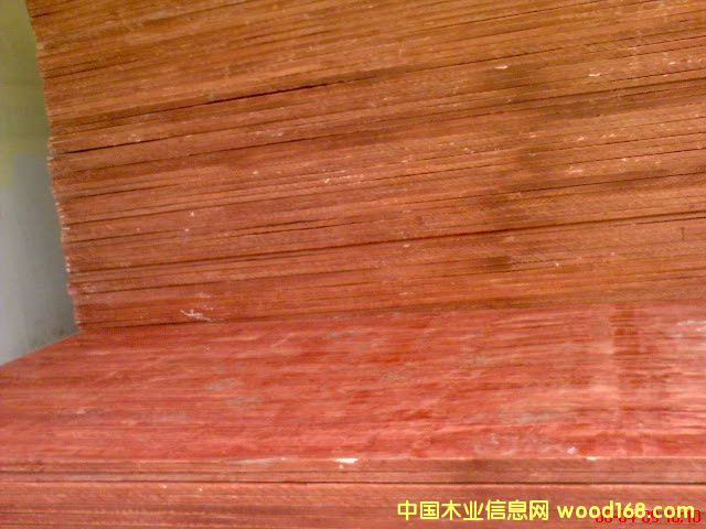 �c(di��n)���鿴ľ�z��Ŵ�DƬ