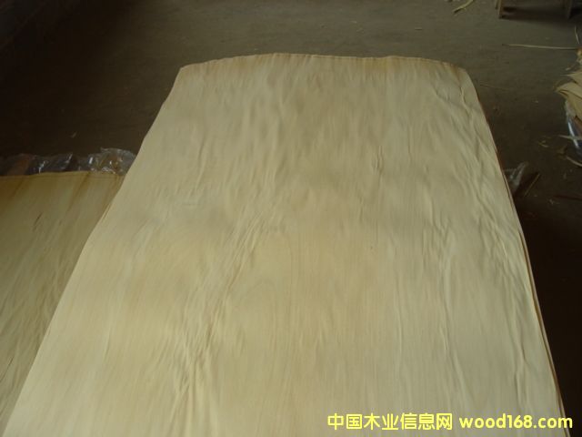 ��ľ����ģ���Ԕ��(x��)��B