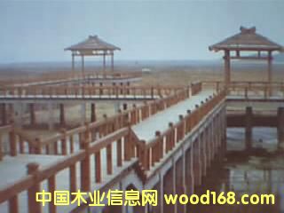 �c(di��n)���鿴ľ�ݷŴ�DƬ