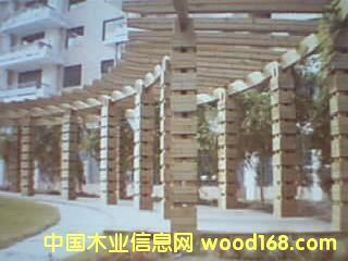 �c(di��n)���鿴ľ��Ʒ�Ŵ�DƬ