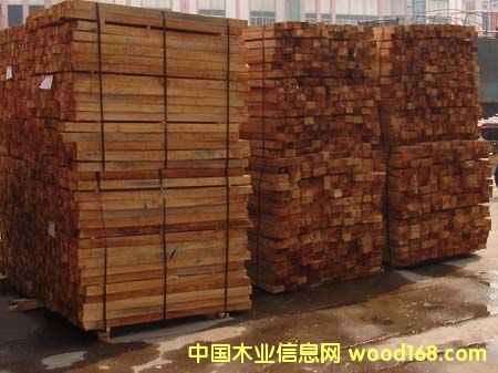 �c���鿴��ľ�Ŵ�DƬ