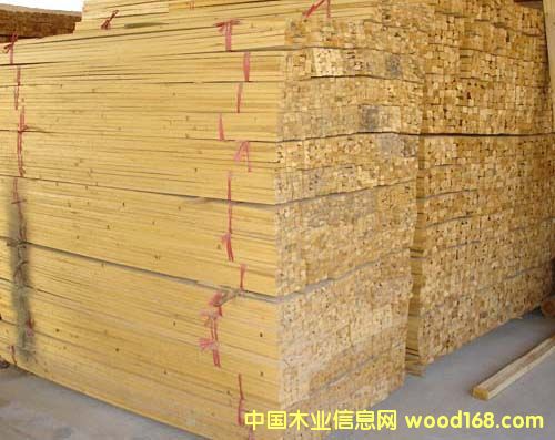 �c���鿴��ľ�Ŵ�DƬ