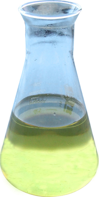 �c���鿴���W(xu��)�ϳɌ�(d��o)���ͷŴ�DƬ