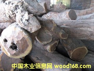 �c���鿴��̴ԭľ�Ŵ�DƬ