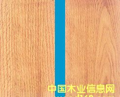 �t���Ԕ��(x��)��B