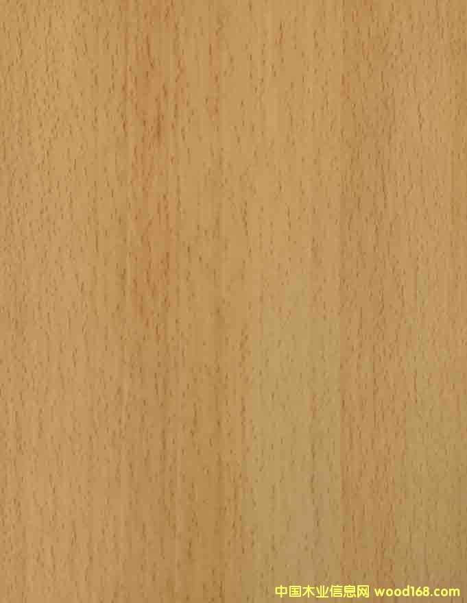 �t�ε�Ԕ��(x��)��B