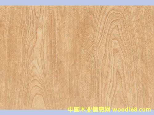 ��ľ���Ӱ��Ԕ��(x��)��B