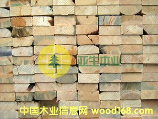 ���ô�SPFľ��--2*4��Ԕ����B