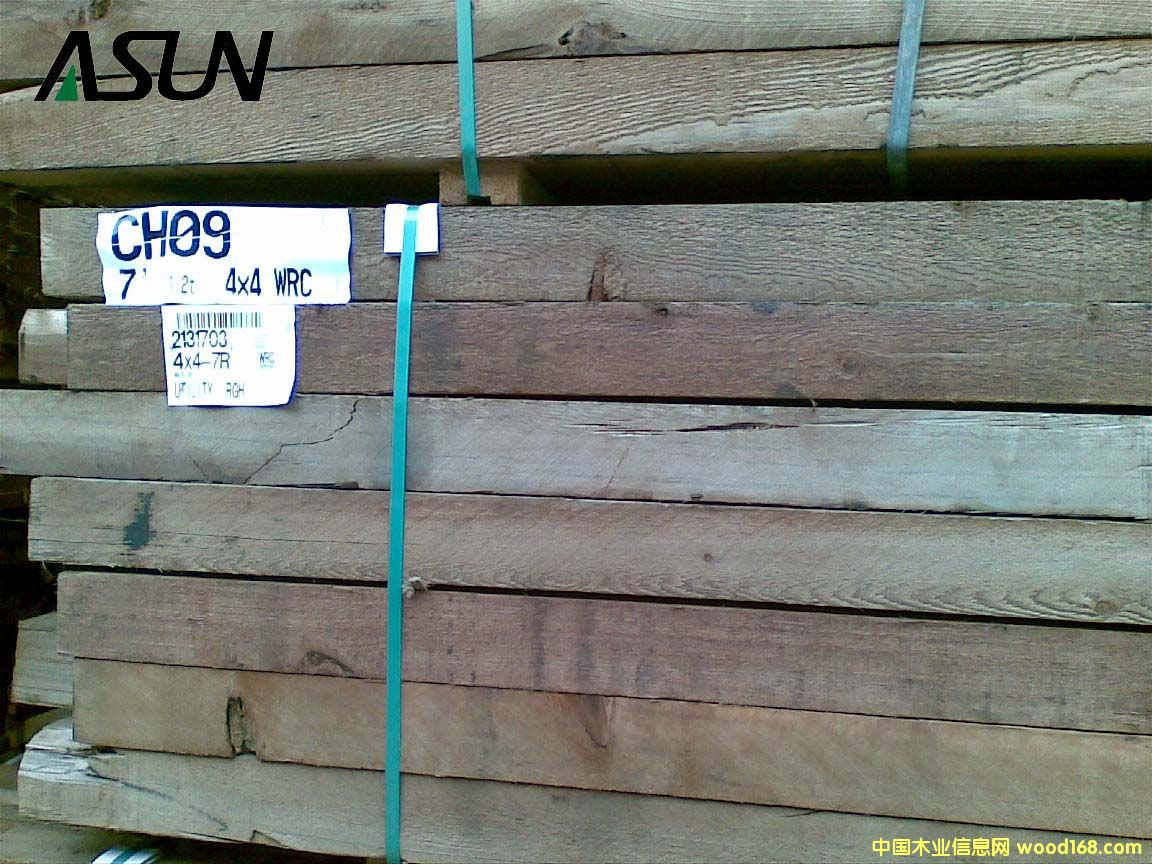 �tѩ�ɵ�Ԕ����B