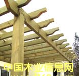 �c(di��n)���鿴���^ľ��8��Ԕ��(x��)�Y��