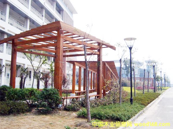 �c���鿴���^ľ��8�Ŵ�DƬ