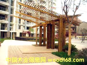 �c���鿴���^ľ��8�Ŵ�DƬ