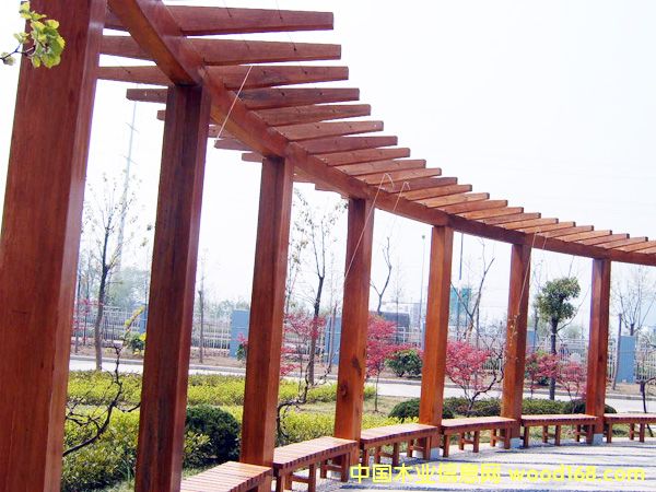 �c���鿴���^ľ��8�Ŵ�DƬ