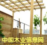 �c���鿴���^ľ��8�Ŵ�DƬ