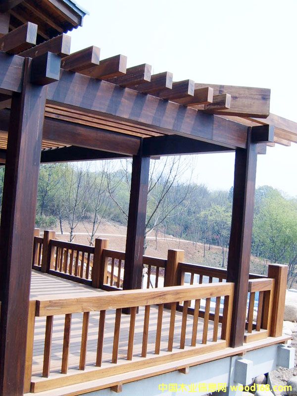 �c���鿴���^ľ��8�Ŵ�DƬ