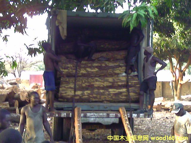 ԭľ��Ԕ��(x��)��B