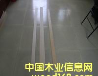 ���Ӱ�ֱ�l��Ԕ��(x��)��B