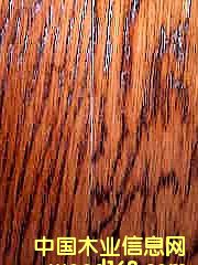 �c(di��n)���鿴���ӌ�(sh��)ľ�ذ�Ŵ�DƬ