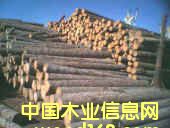 ��ľ�ΰ��Ԕ����B