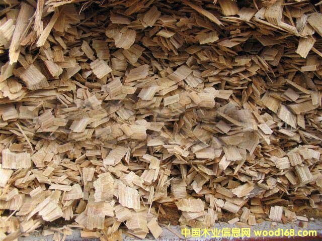 �c(di��n)���鿴��Ƭ�Ŵ�DƬ