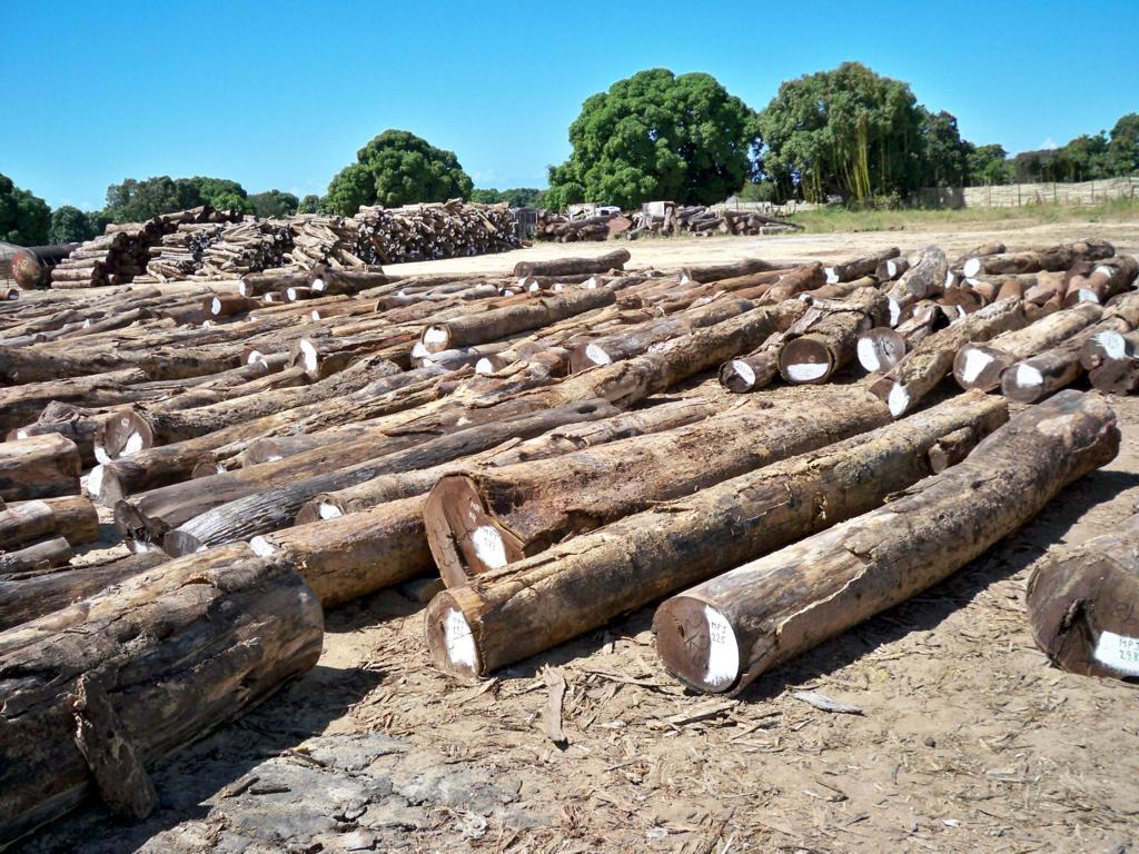 y�u���Ԕ����B