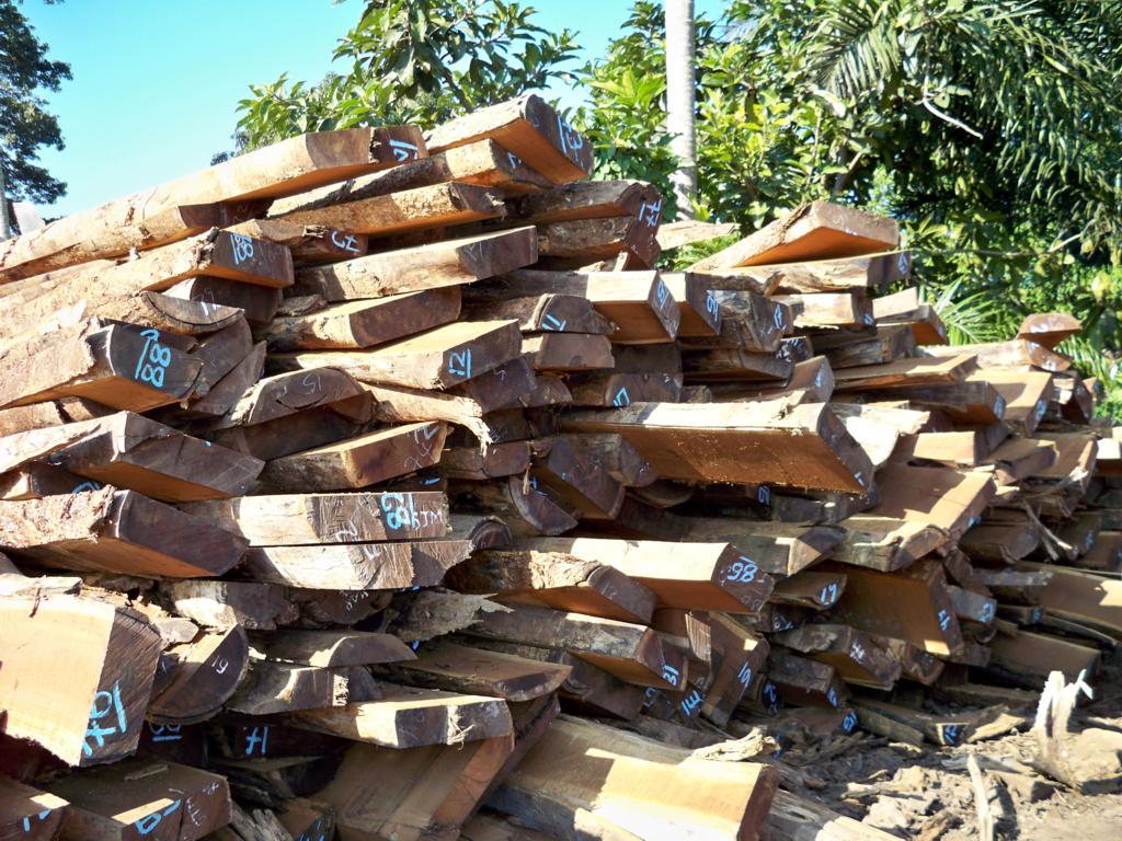 �u���Ԕ����B