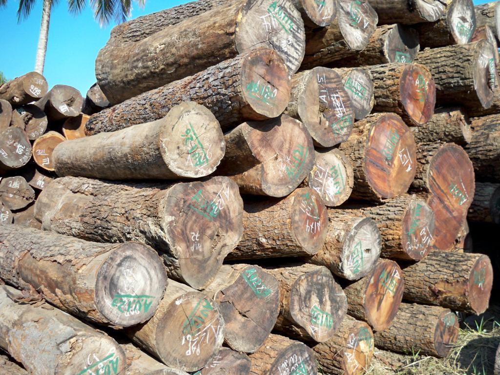 ���޻����Ԕ����B