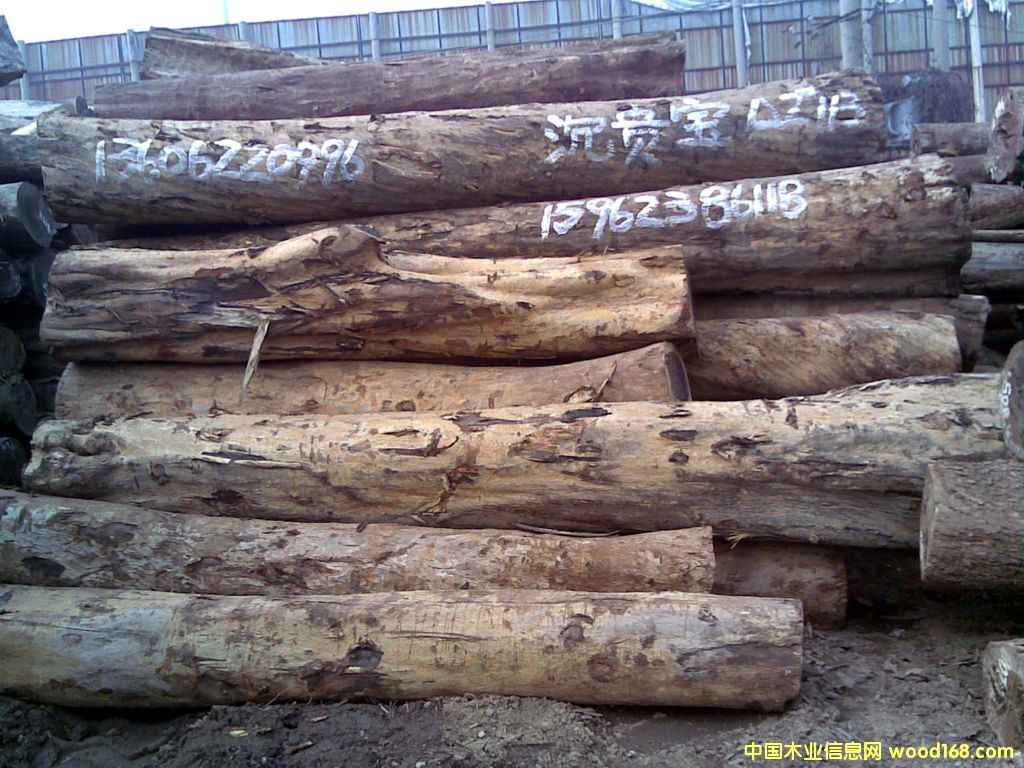 ���F����Ԕ����B