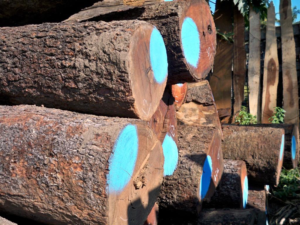 �����Kľ��Ԕ����B