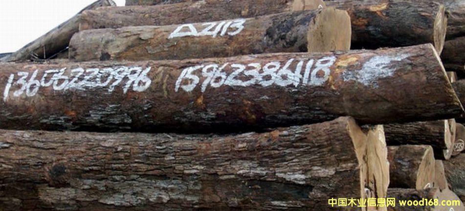 Ƥ�ҵ�Ԕ����B