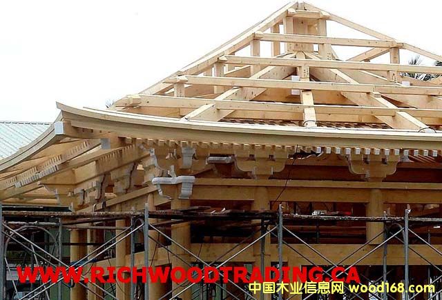 �����S�u (Cypress) / �����Ȱ� (Western��Ԕ����B