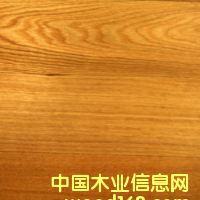 �c(di��n)���鿴laminate flooring3�Ŵ�DƬ