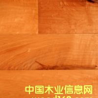 �c(di��n)���鿴laminate flooring5�Ŵ�DƬ