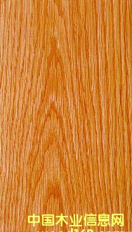 �t���Ԕ��(x��)��B