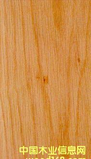 �����Ԕ��(x��)��B