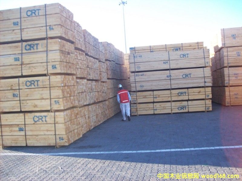 ������01��Ԕ��(x��)��B