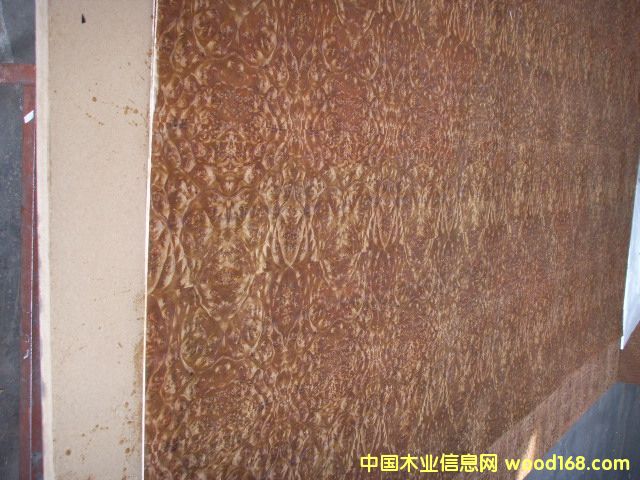 �����N����Ԕ����B