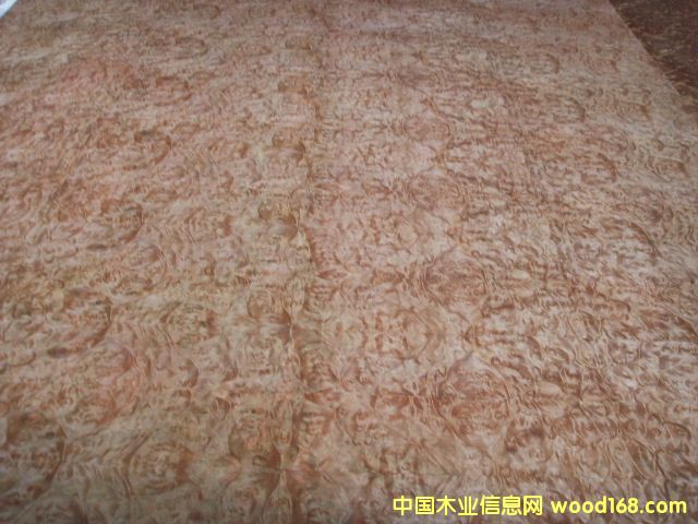 �����N����Ԕ����B