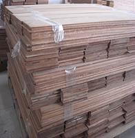 �c���鿴ɳ����(sapelli)�Ŵ�DƬ