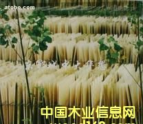 �п����o���ΰ��Ԕ��(x��)��B