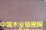 �c(di��n)���鿴��(x��)ľ���Ŵ�DƬ