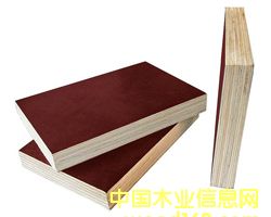 �c���鿴����ģ��.�Ŵ�DƬ