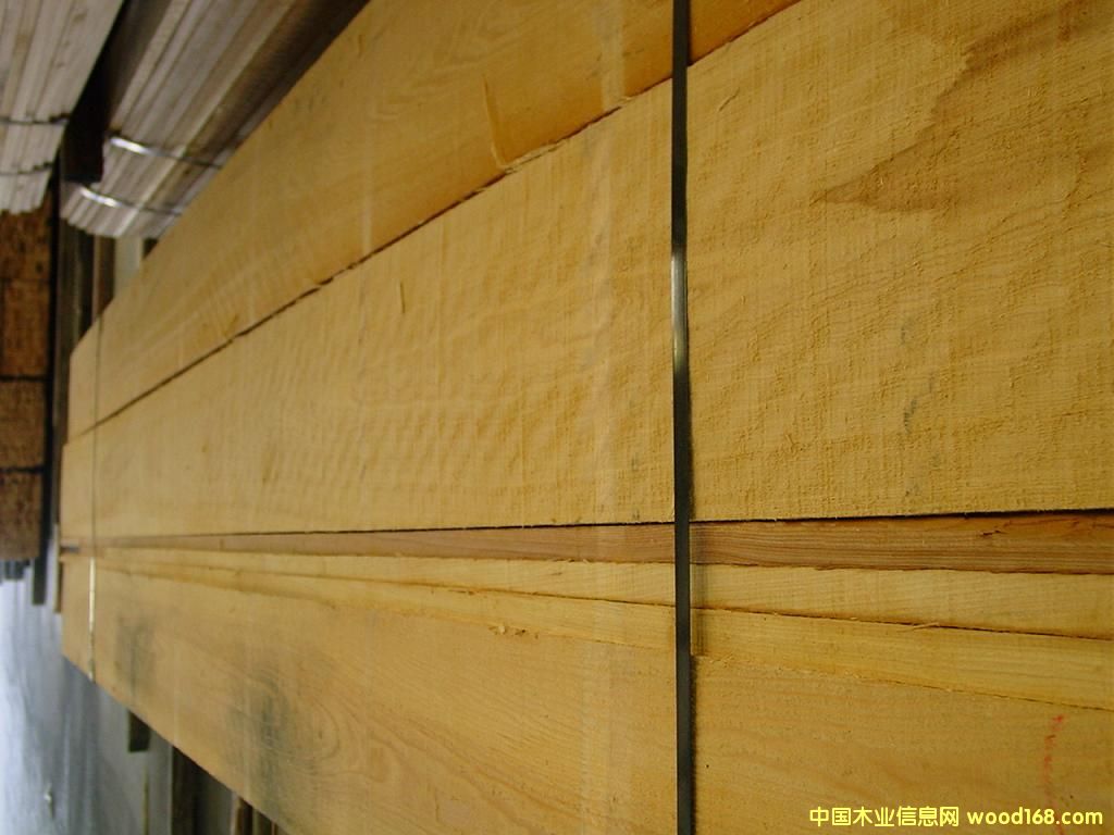 �t��FAS��Ԕ��(x��)��B