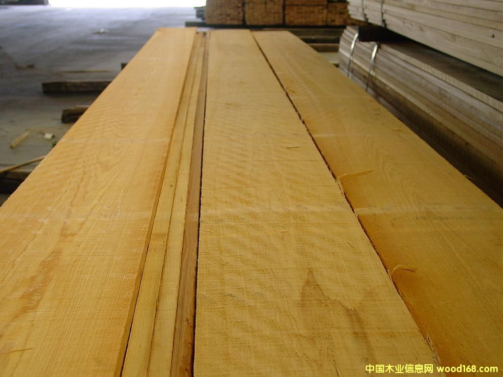 �t��FAS2��Ԕ��(x��)��B